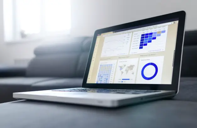 Big Data in Customer Insights